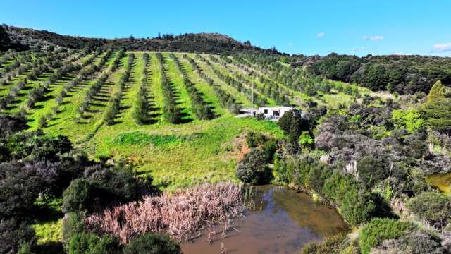 Hia Hia - Paradise Awaits!