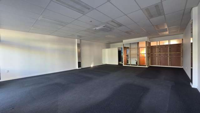 8C Scott Street Blenheim Central_4