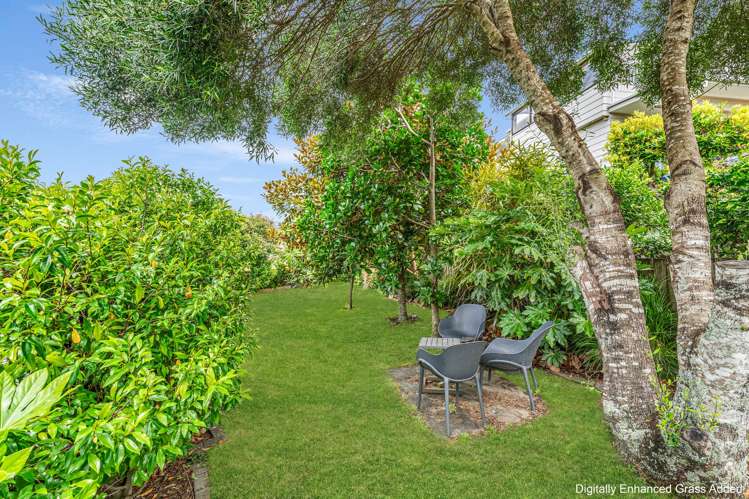 313 Main Road Tairua_31