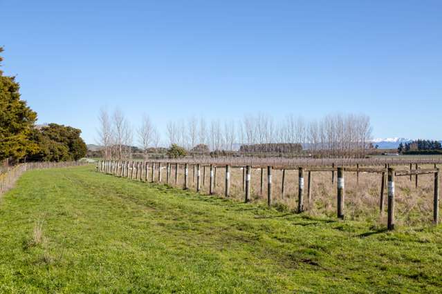 Lot 3 Dakins Road East Taratahi_4