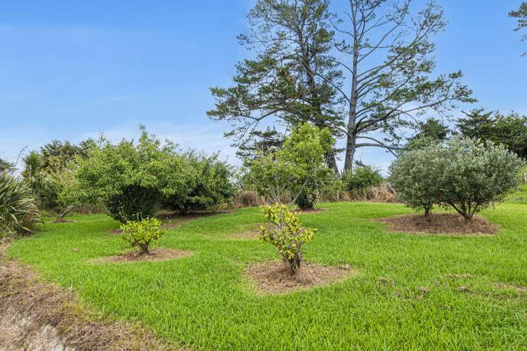 453 Pigs Head Road Hukerenui and Surrounds_24