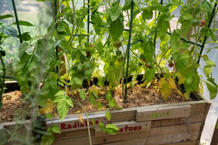 52 Shelley Street Leamington_21