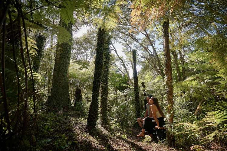 125C Sailors Grave Road, Pumpkin Hill Tairua_29