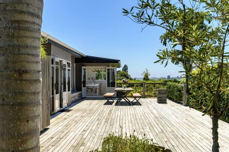 44 Harvey Street Avenues_13