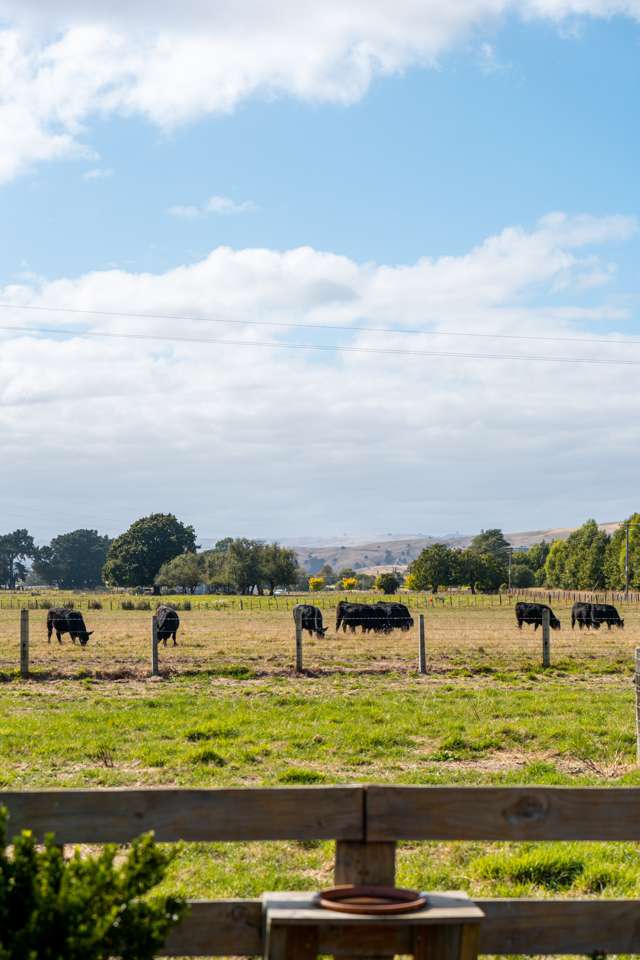 175 Papawai Road Greytown_4