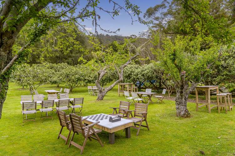 895 Tairua Whitianga Road, SH25 Whenuakite_49