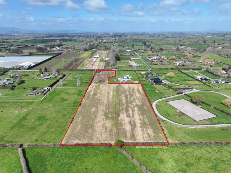 490 Bruntwood Road Tamahere_3
