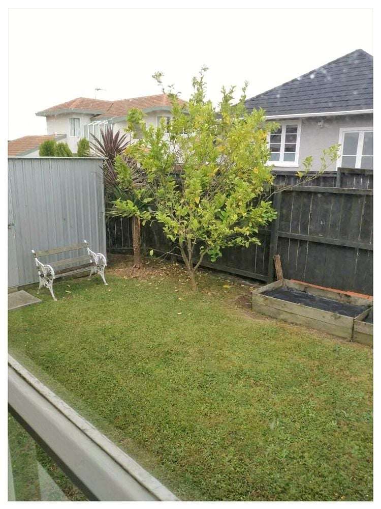 127a Saint Johns Road Saint Johns_10