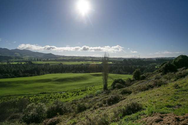 1138 Arapuni Road Arapuni_3