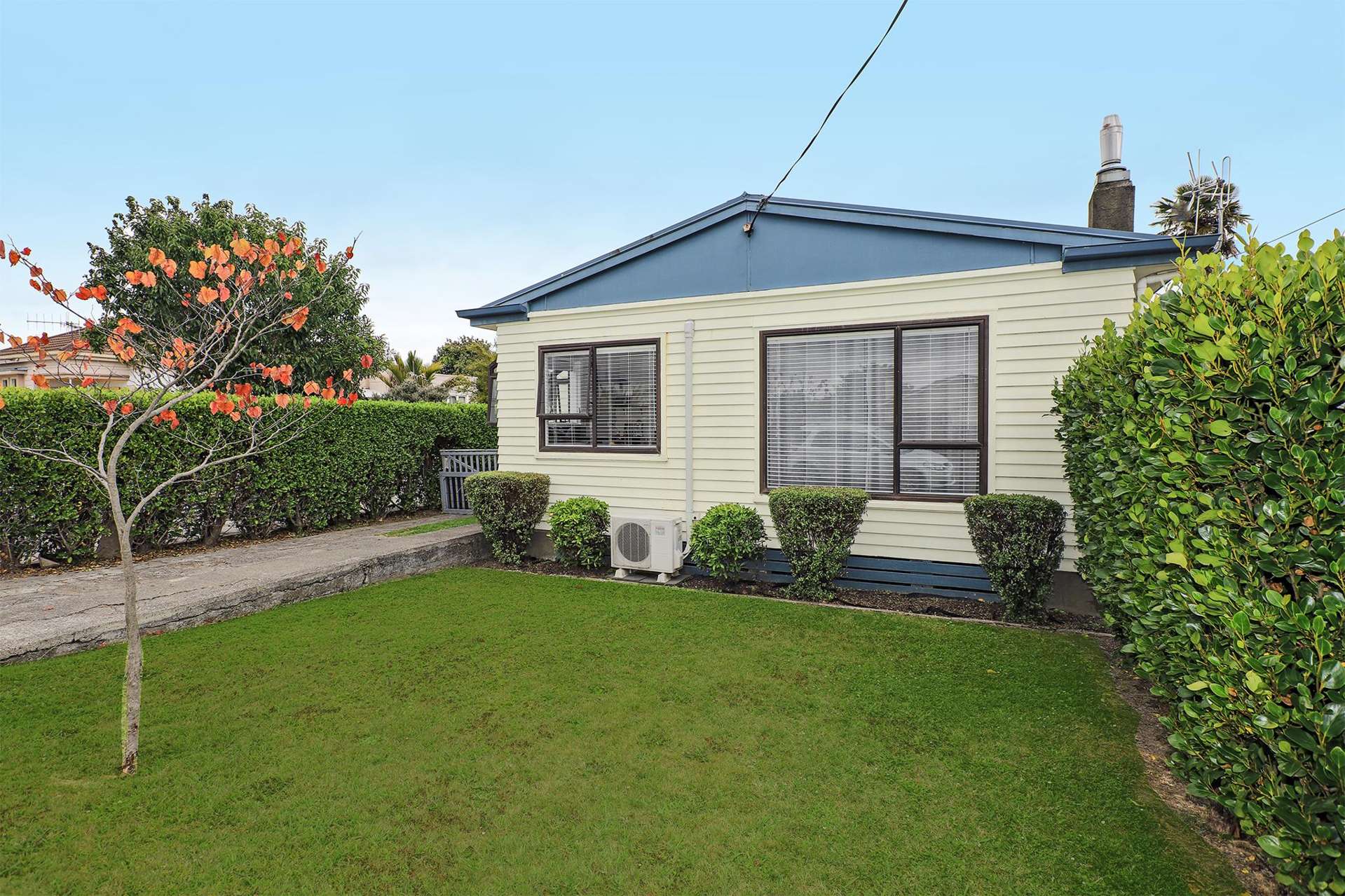 504 Terrace Road Parkvale_0