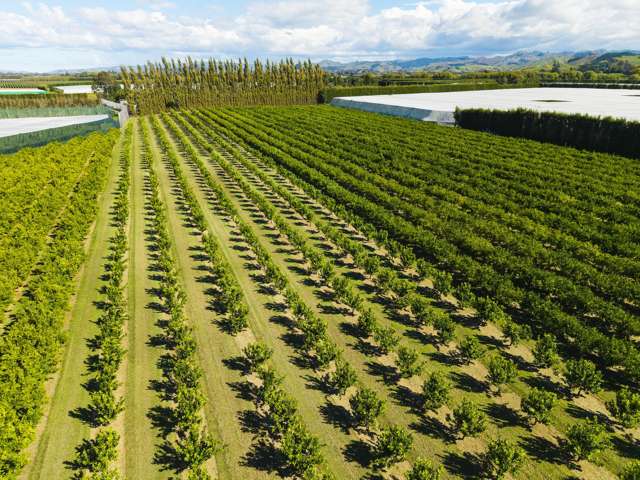 75 Brown Road Ormond_2