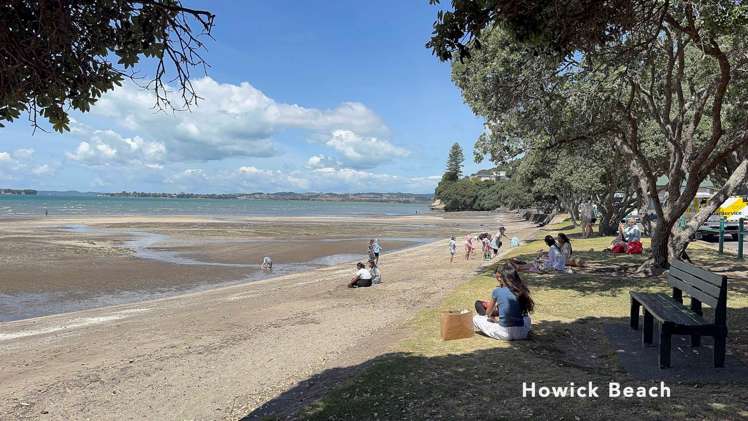 Lots 1-6/8 Baird Street Howick_11