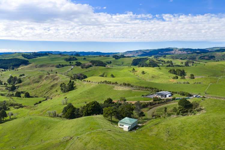 62 Cornes Road Raglan_27