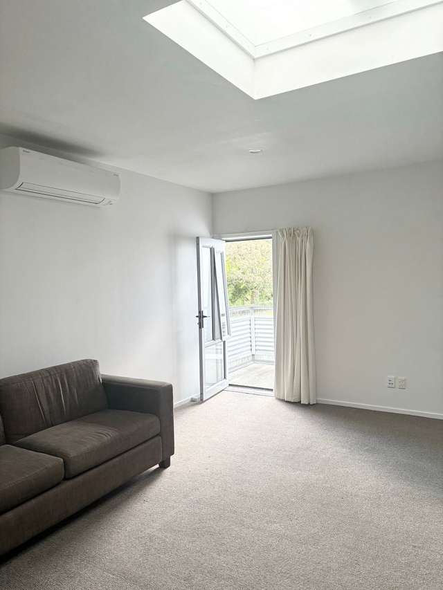 12B Pope Street Addington_3