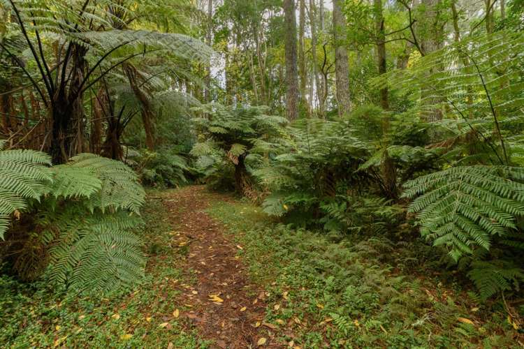 125 Boscabel Drive Ohauiti_9