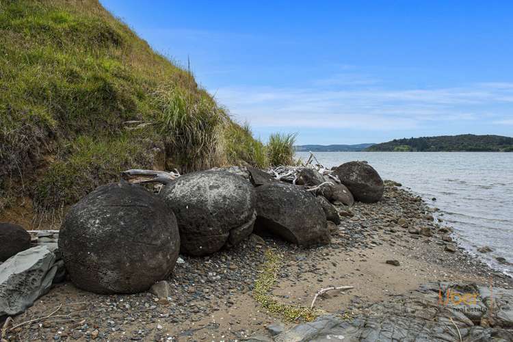 Brindle Road Whirinaki_14