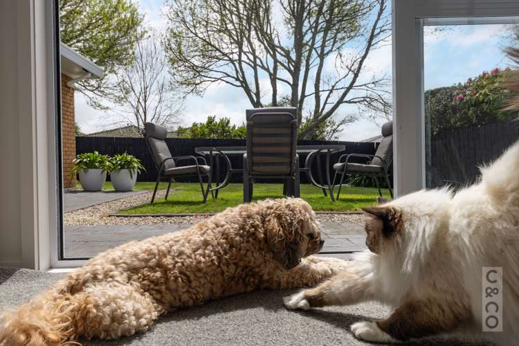 27 Merlot Heights Huapai_8