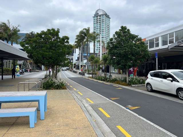 Unit 1/62-78 Hurstmere Road Takapuna_3