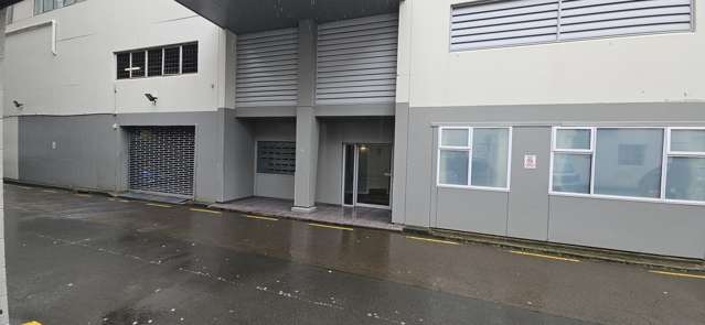 S/7 Feltex Lane Te Aro_1