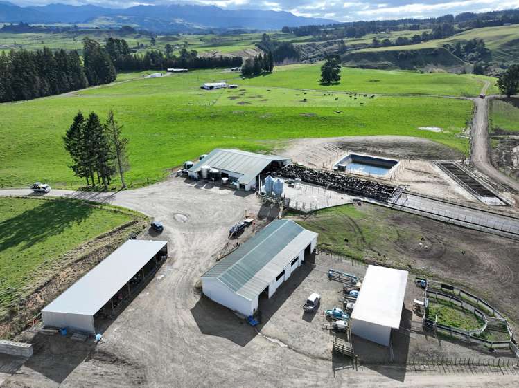 3986 Puketitiri Road Patoka_14