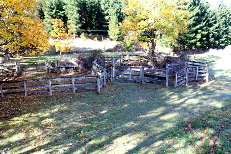 1719 Inland Road Lyford_23