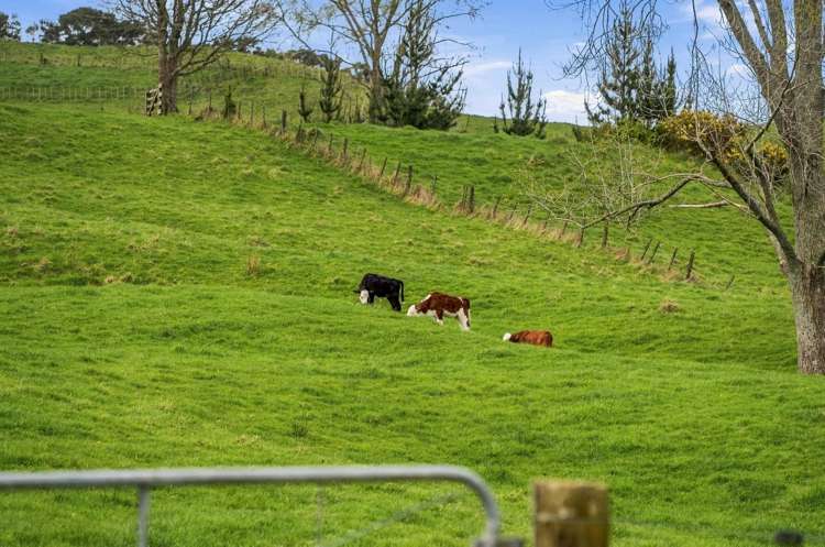 2393A Hunua Road Hunua_22