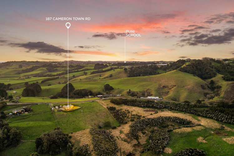 187 Cameron Town Road Pukekohe_27