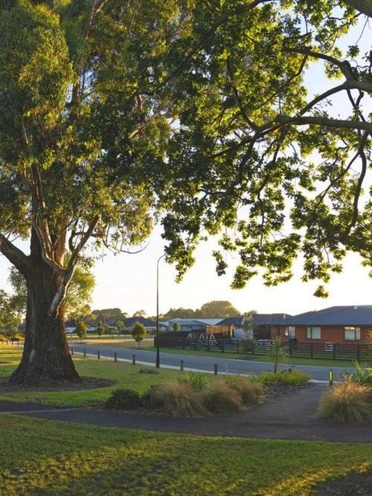 765 Ellmers Street Ravenswood_4