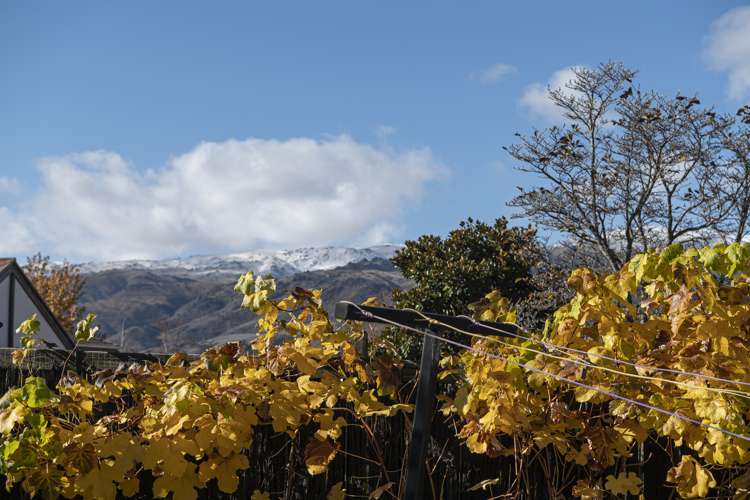 61 Antimony Crescent Cromwell_14