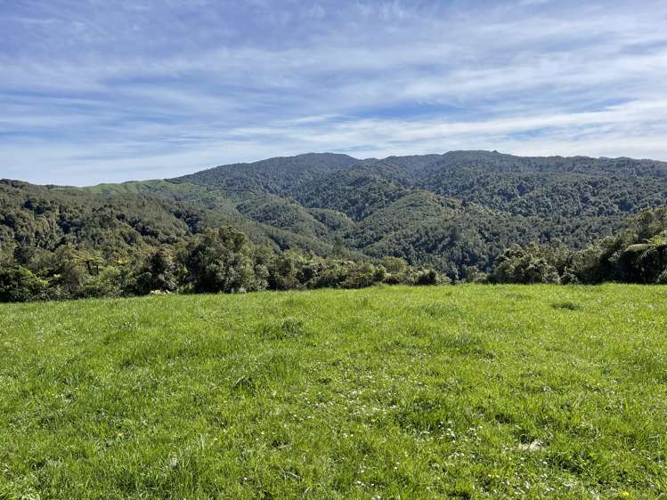 Pekanui Road Puketotara_5