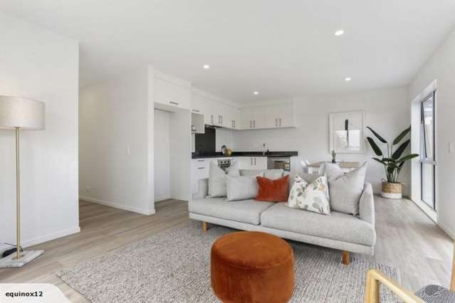 47 Joseph Street Flat Bush_3