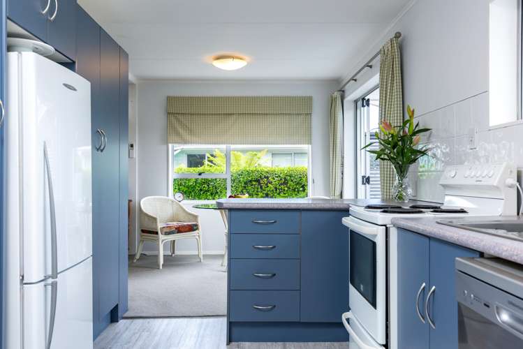 5 Owen Place Springlands_12