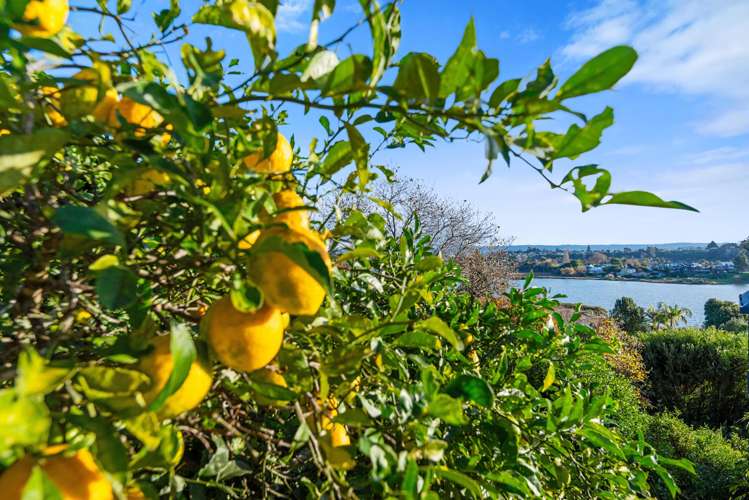 124 Haukore Street Hairini_16