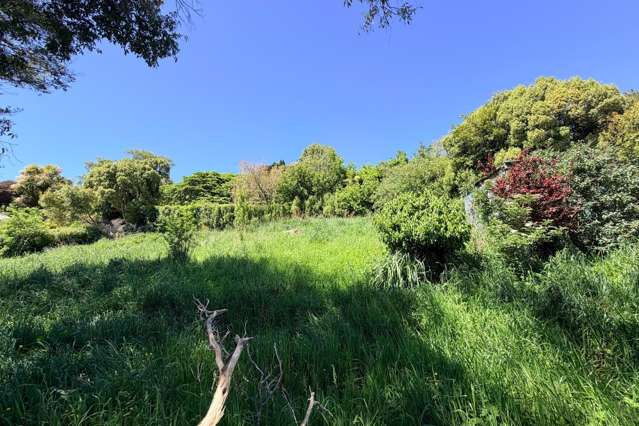 36A Falcon Street Kaikorai_2