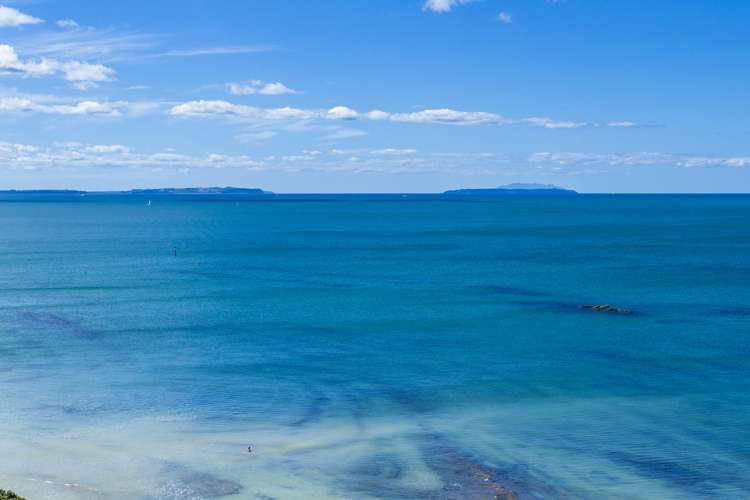 54 Seacliffe Avenue Belmont_21