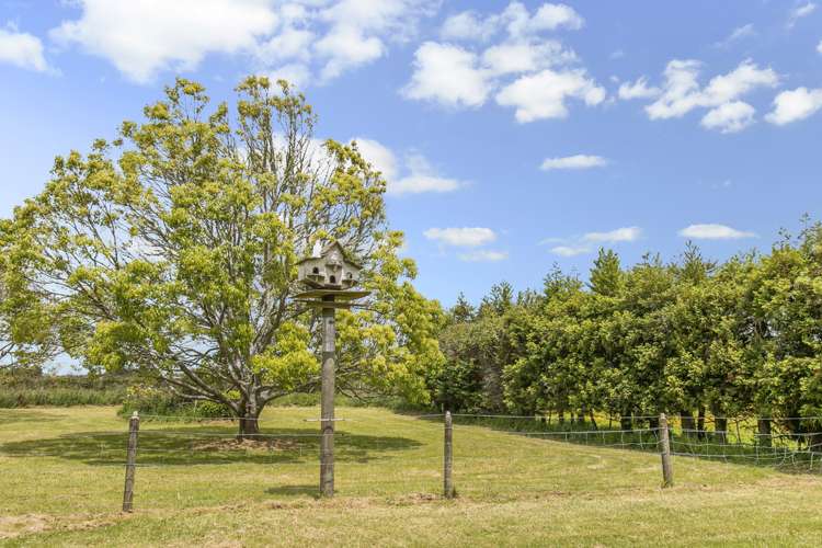 254 Appleby Road Drury_21