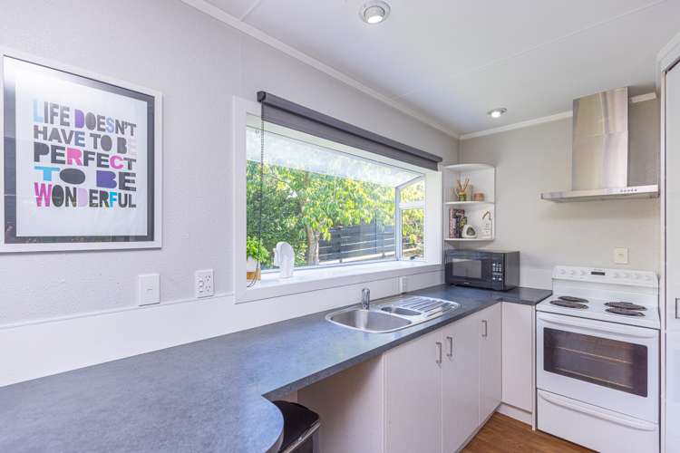 153 Mount View Road Bastia Hill_9