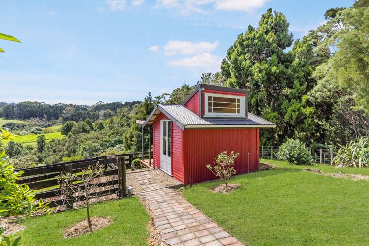 94 Ara-Kotinga Whitford_25