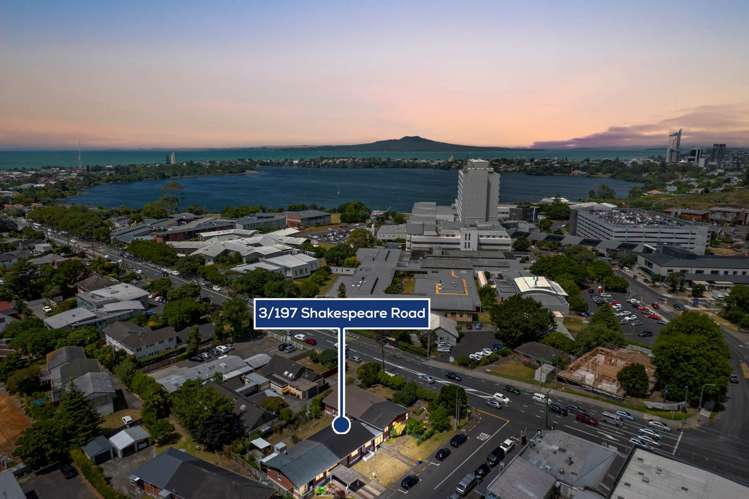 3/197 Shakespeare Road Milford_19