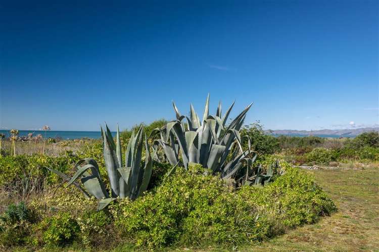 222 Rarangi Beach Road Rarangi_11