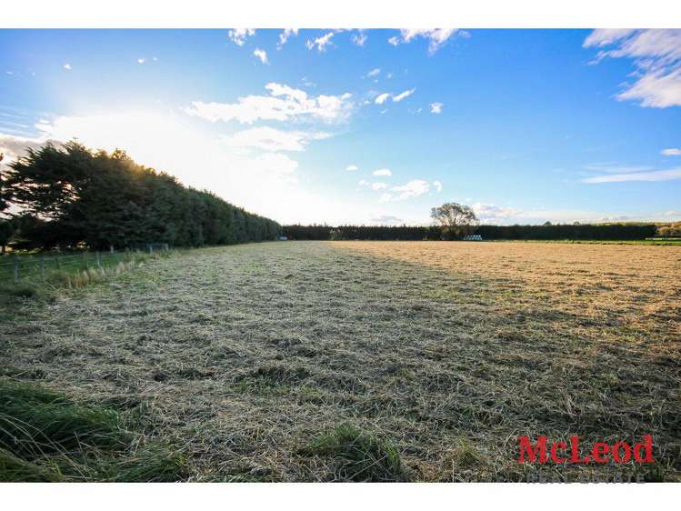 73 Grove Farm Road Tinwald_29