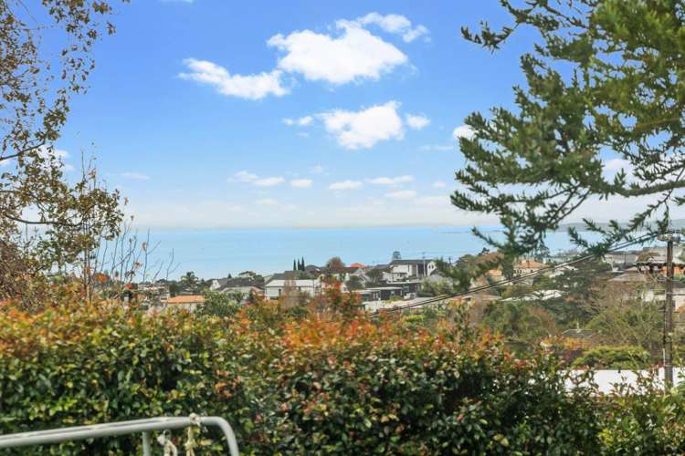 19 Grampian Road Saint Heliers_23