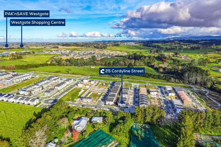 25 Cordyline Street Westgate_16