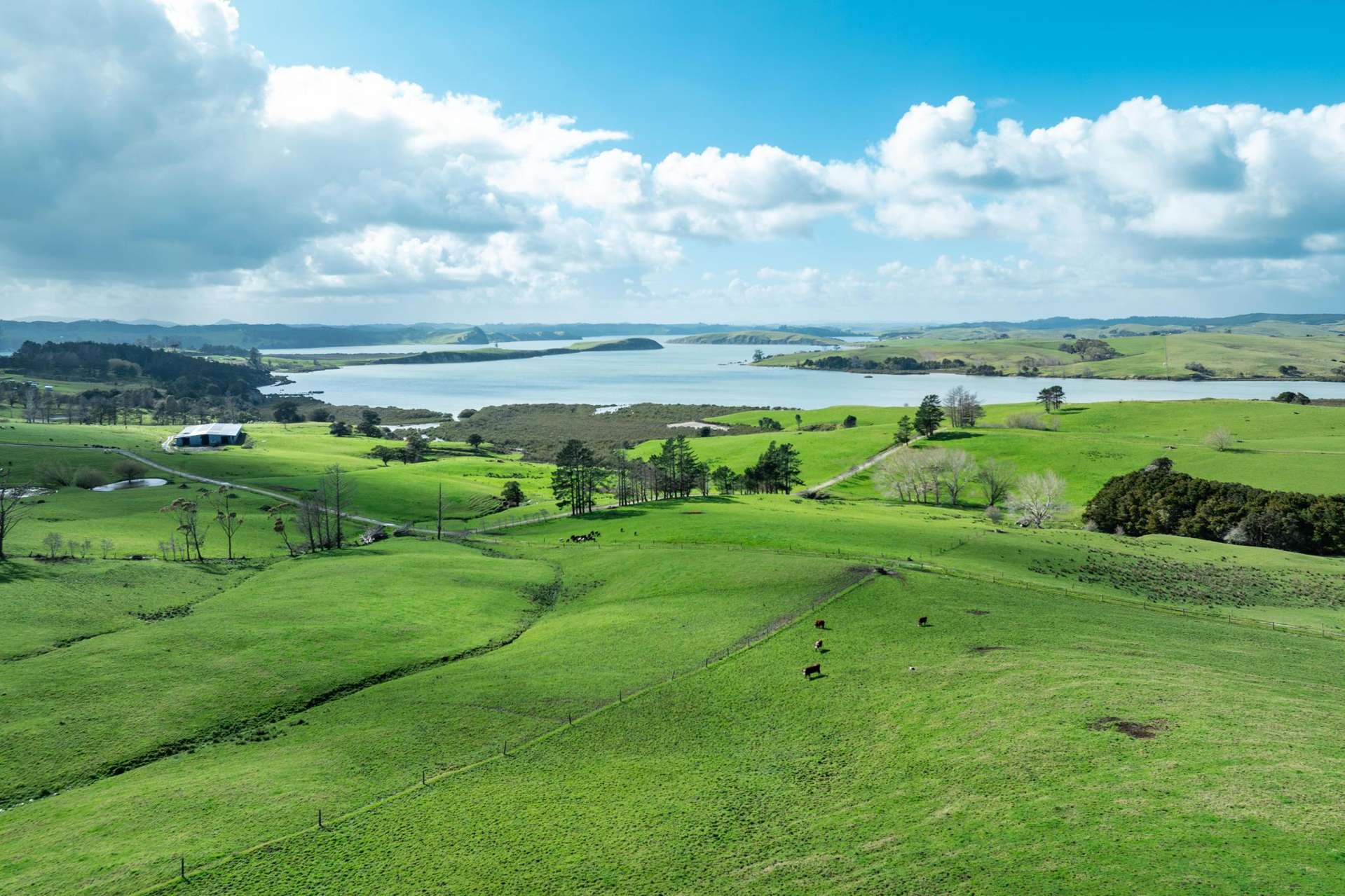 450 Neems Road Matakohe_0