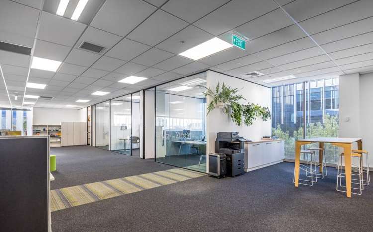 8 Nugent Street Grafton_7