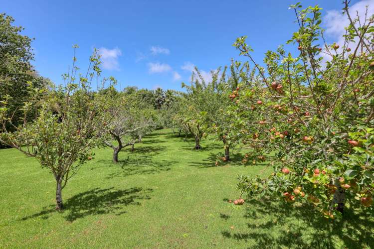 104b Tara Road Mangawhai_23