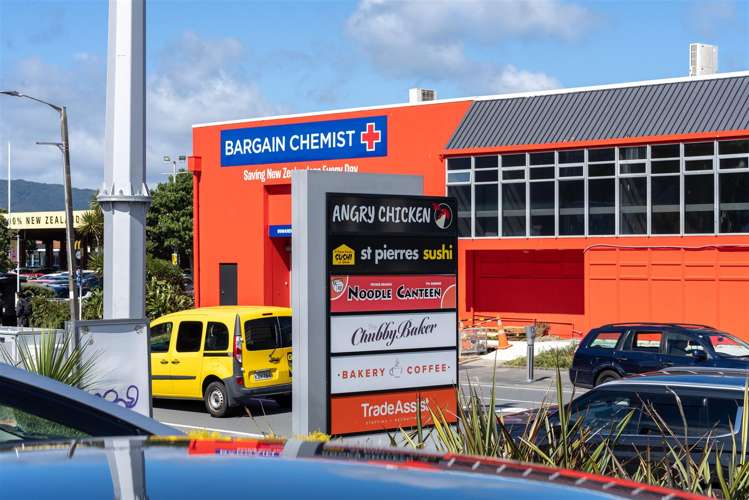 112 Jackson Street Petone_7