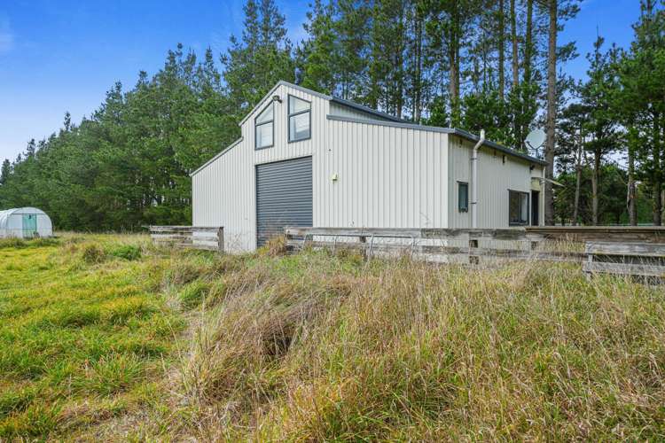 195 Wards Road Swannanoa_16