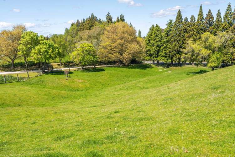 344 Palmer Mill Road Wairakei_33