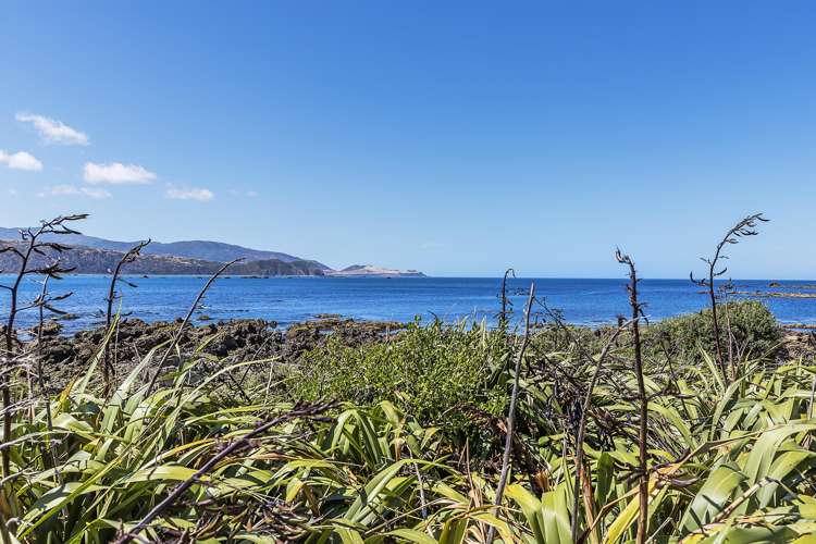 126A Breaker Bay Road Breaker Bay_21